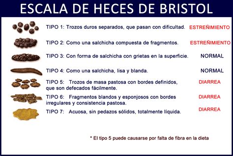 Gráfico de la Escala de Bristol para la consistencia de las heces