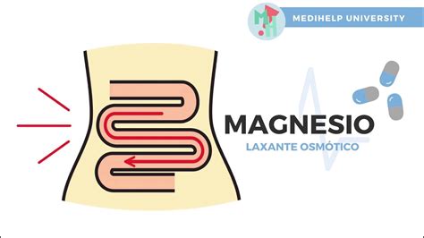 Diagrama que ilustra la acción del magnesio como laxante osmótico y su papel en la contracción muscular intestinal.
