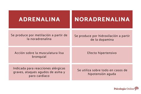 Gráfica mostrando el aumento de adrenalina y noradrenalina plasmática tras sprints de alta intensidad