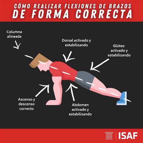 ilustración detallada de la técnica correcta para realizar flexiones