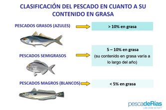 Diagrama que muestra la diferencia en contenido de grasa entre pescados blancos y azules