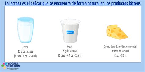 Gráfico que muestra el contenido de lactosa en diferentes productos lácteos