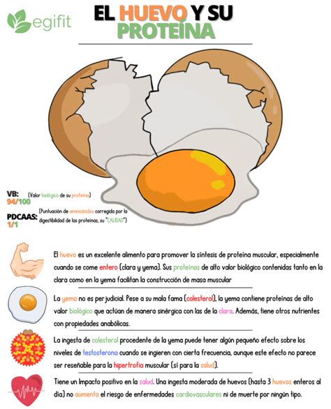 Ilustración detallada de un huevo, destacando la distribución de proteínas, grasas y colesterol entre la yema y la clara.