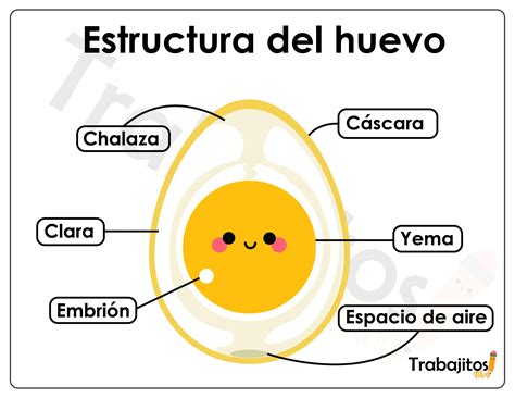 infografía detallando la composición calórica de un Huevo Kinder, separando las calorías del chocolate y del juguete
