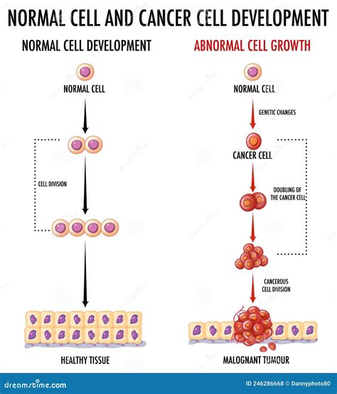 Gráfico comparando la dependencia de células cancerígenas y normales de la glucosa y cuerpos cetónicos.
