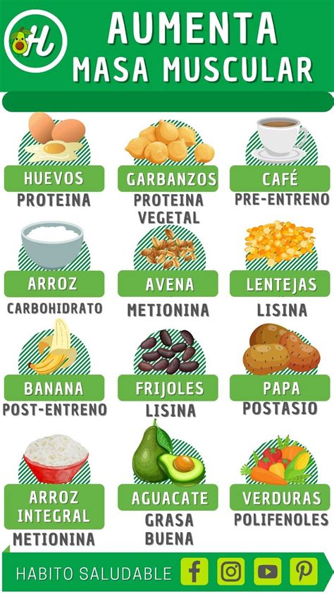 Infografía que muestra alimentos ricos en proteínas y sus beneficios para la masa muscular.
