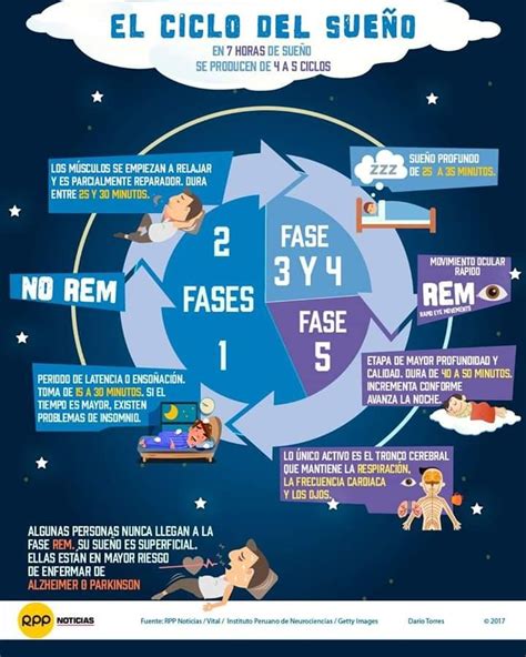 Imagen que representa un ciclo de sueño reparador y la recuperación muscular.