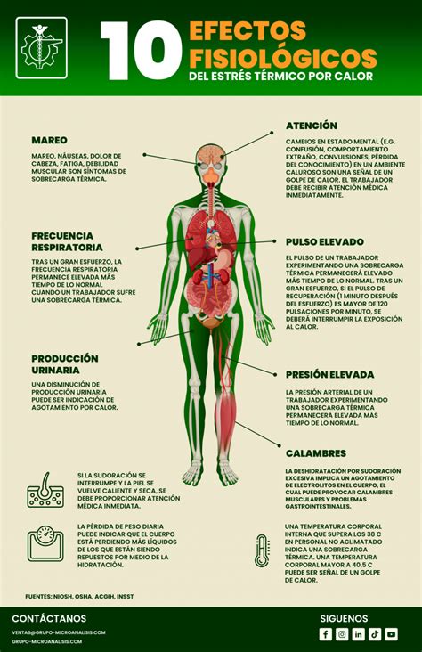 Infografía comparativa mostrando los efectos fisiológicos de los descansos largos vs. cortos entre series de entrenamiento.