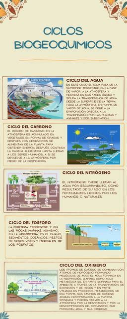 infografía detallando los diferentes ciclos de energía en deportes de resistencia y corta duración