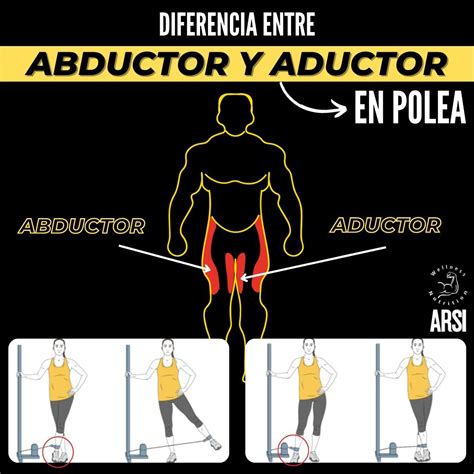 Infografía comparando la abducción patada lateral y la patada de abductores