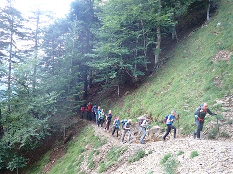 Vista de la Faja de Pelay, un sendero estrecho bordeado de vegetación con el valle al fondo.