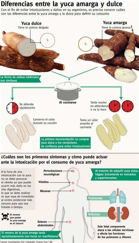 Infografía comparativa de la yuca con otros tubérculos como la patata.