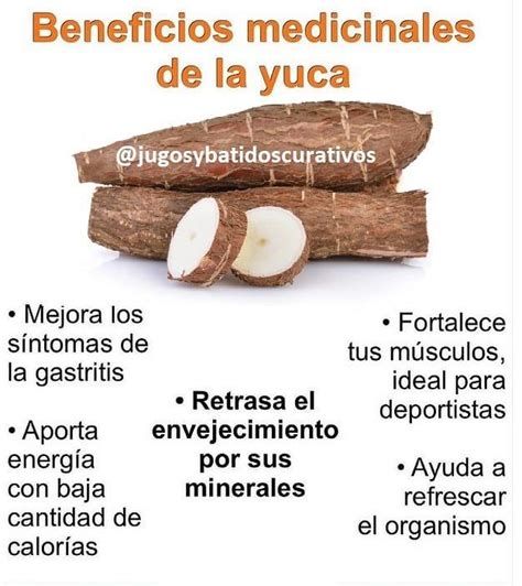 Ilustración de los beneficios de la yuca para la salud: digestión, huesos, energía.