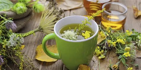 Infusiones de hierbas para la digestión