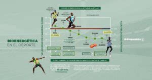 Infografía comparativa de los requerimientos energéticos en diferentes deportes de raqueta, destacando el pádel.
