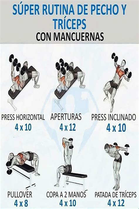 Infografía comparativa: mancuernas vs. barras para ejercicios de pecho