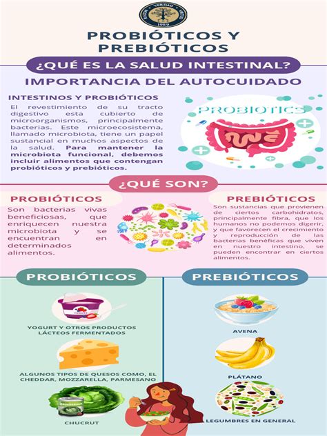 Infografía detallando los componentes probióticos y prebióticos de Bio3 Vientre Plano y sus funciones en el sistema digestivo.