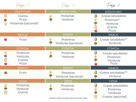 Ilustración de las tres fases de la Dieta del Metabolismo Acelerado con ejemplos de alimentos