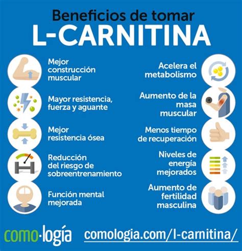 Infografía comparativa de los beneficios de CLA y L-Carnitina.