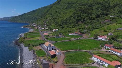 Plantación de café en Fajã dos Vimes, São Jorge