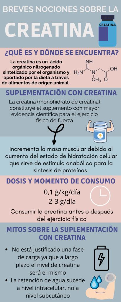 Infografía comparando los efectos de la creatina y la L-carnitina en la recuperación y potencia muscular.