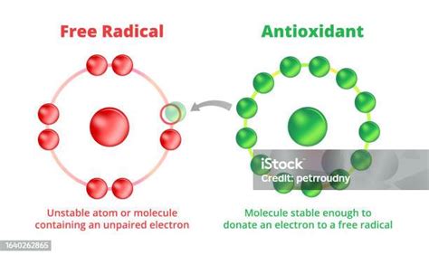 Ilustración de moléculas de radicales libres y antioxidantes interactuando.