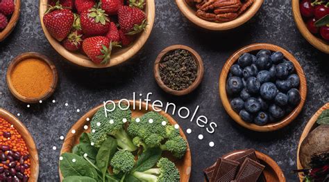 Infografía mostrando alimentos ricos en polifenoles, carotenoides y vitaminas C y E.