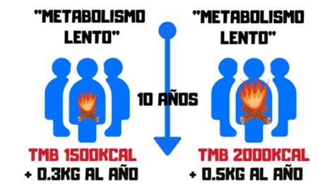 Gráfico que compara un metabolismo rápido y uno lento, mostrando la eficiencia en la quema de calorías.