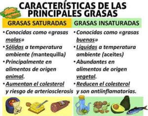 Infografía comparativa de grasas saturadas, monoinsaturadas y poliinsaturadas en diferentes aceites vegetales.