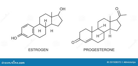 Representación esquemática de la estructura molecular de los estrógenos y su interacción con receptores celulares.