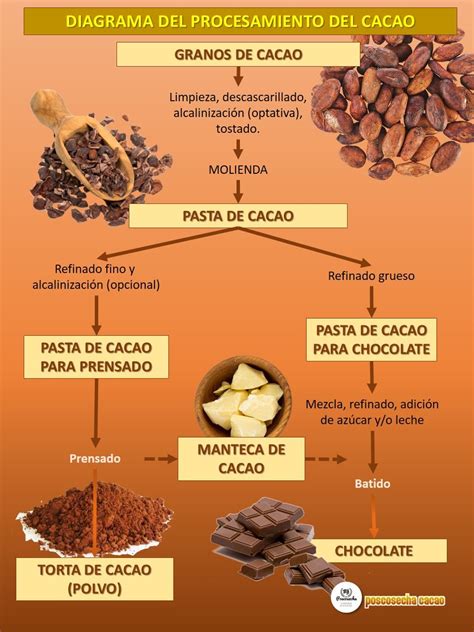 Infografía comparando el contenido de cacao y azúcares en diferentes tipos de chocolate.