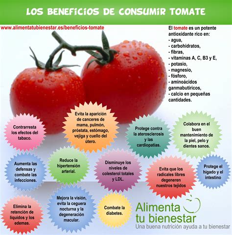 Infografía detallando los beneficios para la salud de la sopa de tomate, destacando el licopeno, vitaminas y minerales.