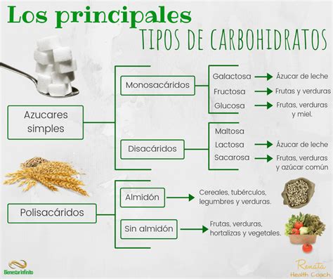 Infografía comparando el índice glucémico de diferentes tipos de carbohidratos, resaltando los carbohidratos complejos de la avena y el arroz integral.