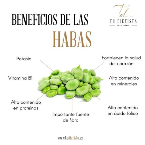 Infografía destacando los principales beneficios para la salud de las habas: ácido fólico, fibra, proteínas y vitaminas.