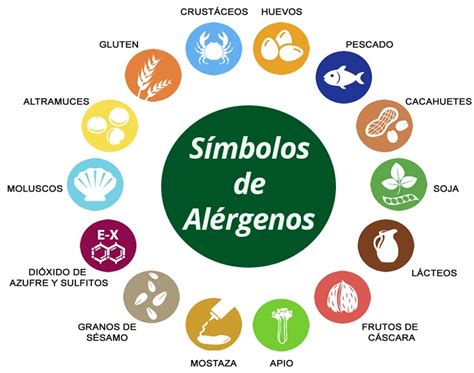 Infografía mostrando diferentes alérgenos comunes: alimentos (mariscos, frutos secos), medicamentos, polen, ácaros.