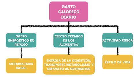 Ilustración mostrando diversas actividades cotidianas que contribuyen al gasto calórico.