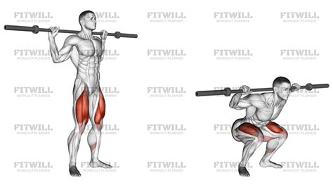 ilustración detallada de la sentadilla profunda con barra, mostrando la postura correcta