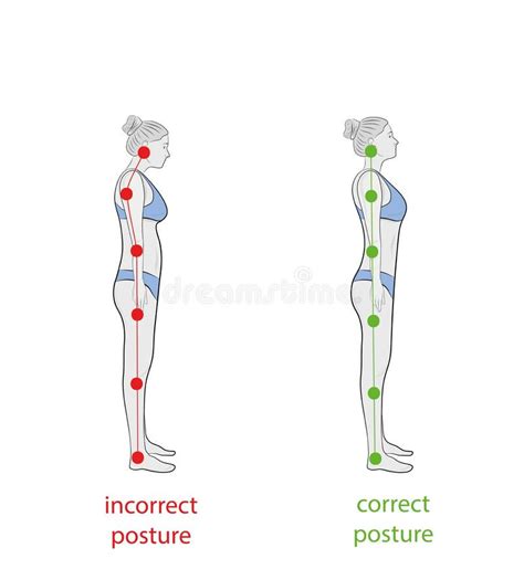 Ilustración: Postura correcta para una plancha, mostrando la alineación del cuerpo.