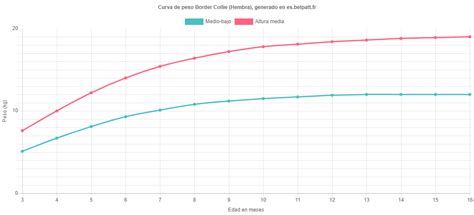 Gráfico de crecimiento de peso de un cachorro Border Collie macho y hembra hasta los 6 meses