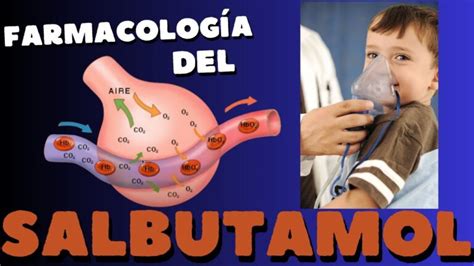 Diagrama de la acción del salbutamol en las vías respiratorias