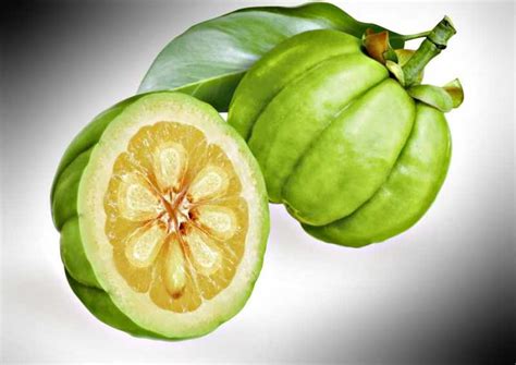fruto de Garcinia Cambogia similar a una pequeña calabaza verde o amarillenta