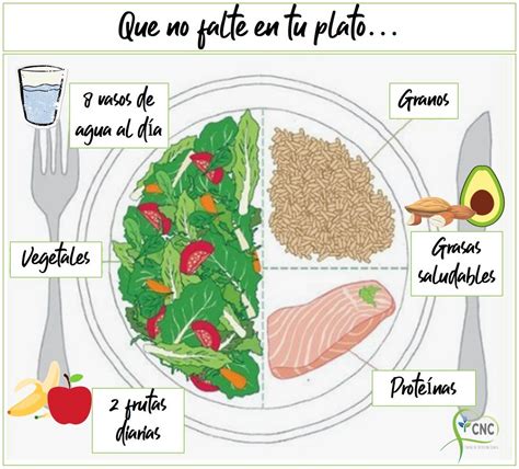 Ilustración de un plato equilibrado con proteínas magras, fibra y grasas saludables