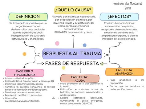 Infografía general de la respuesta al trauma, mostrando las diferentes fases y sus características principales.