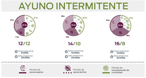 Diagrama comparativo de las diferentes ventanas de alimentación en el ayuno intermitente (12:12, 16:8, 20:4).