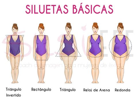 Ilustración de los diferentes tipos de siluetas corporales