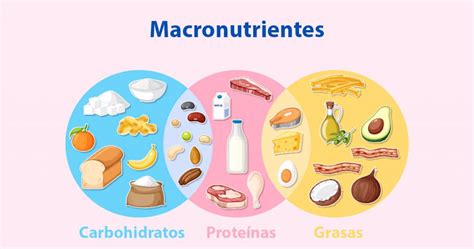 Infografía comparativa de la composición de macronutrientes en dietas convencionales vs. dieta cetogénica.