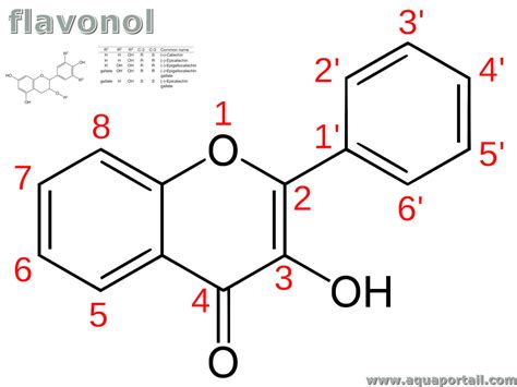 Diagrama molecular de un flavanol y su estructura química.