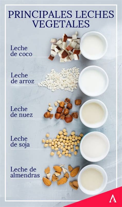 Composición visual mostrando diferentes tipos de leche vegetal y nueces como adiciones al atole