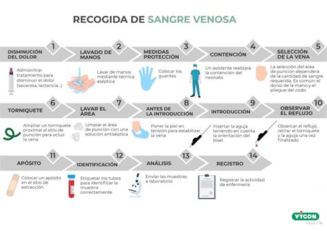Representación gráfica del proceso de recogida de la muestra de sangre del talón del bebé en papel absorbente.