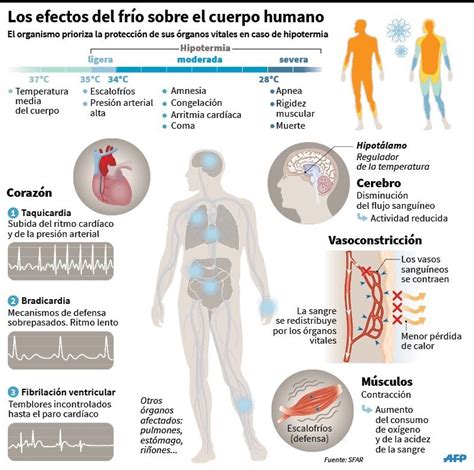 Infografía comparativa de los efectos del frío y el calor en el cuerpo